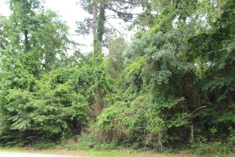 Lot 39 Tejas Trail Grapeland TX 75844