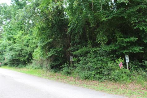 Lot 39 Tejas Trail Grapeland TX 75844
