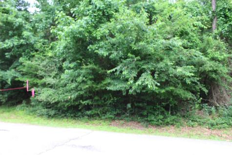 Lot 39 Tejas Trail Grapeland TX 75844