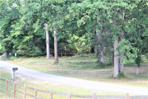 Lot 39 Tejas Trail Grapeland TX 75844