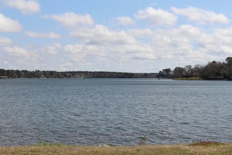 Lot 39 Tejas Trail Grapeland TX 75844