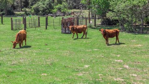 889 County Road 238 Cameron TX 76520