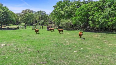 889 County Road 238 Cameron TX 76520