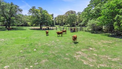 889 County Road 238 Cameron TX 76520