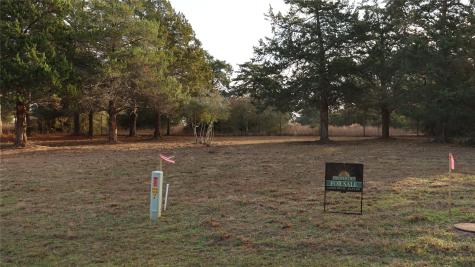 Lot 26 Doral Drive New Ulm TX 78950