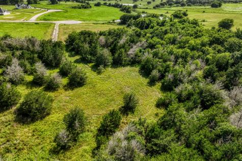 1544 Bluebonnet Ridge Drive Chappell Hill TX 77426