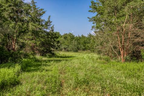 1544 Bluebonnet Ridge Drive Chappell Hill TX 77426