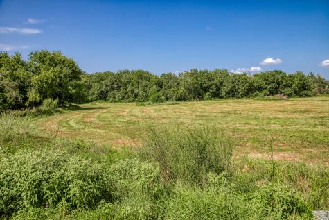 1544 Bluebonnet Ridge Drive Chappell Hill TX 77426