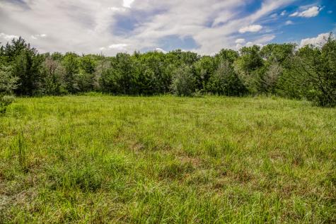 1544 Bluebonnet Ridge Drive Chappell Hill TX 77426