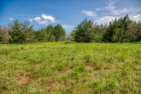1544 Bluebonnet Ridge Drive Chappell Hill TX 77426