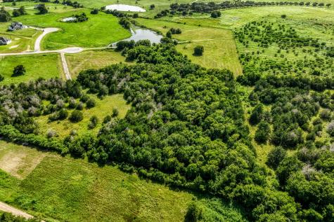 1544 Bluebonnet Ridge Drive Chappell Hill TX 77426