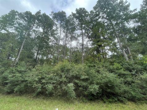 3440 Corolla Road Magnolia TX 77354