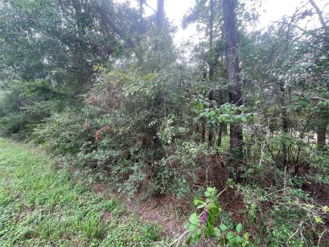 3440 Corolla Road Magnolia TX 77354