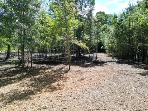 000 Red Oak Drive Plantersville TX 77363