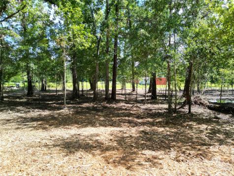 000 Red Oak Drive Plantersville TX 77363