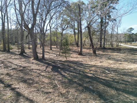 000 Red Oak Drive Plantersville TX 77363