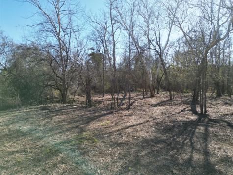 000 Red Oak Drive Plantersville TX 77363