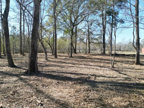 000 Red Oak Drive Plantersville TX 77363