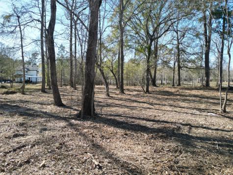 000 Red Oak Drive Plantersville TX 77363