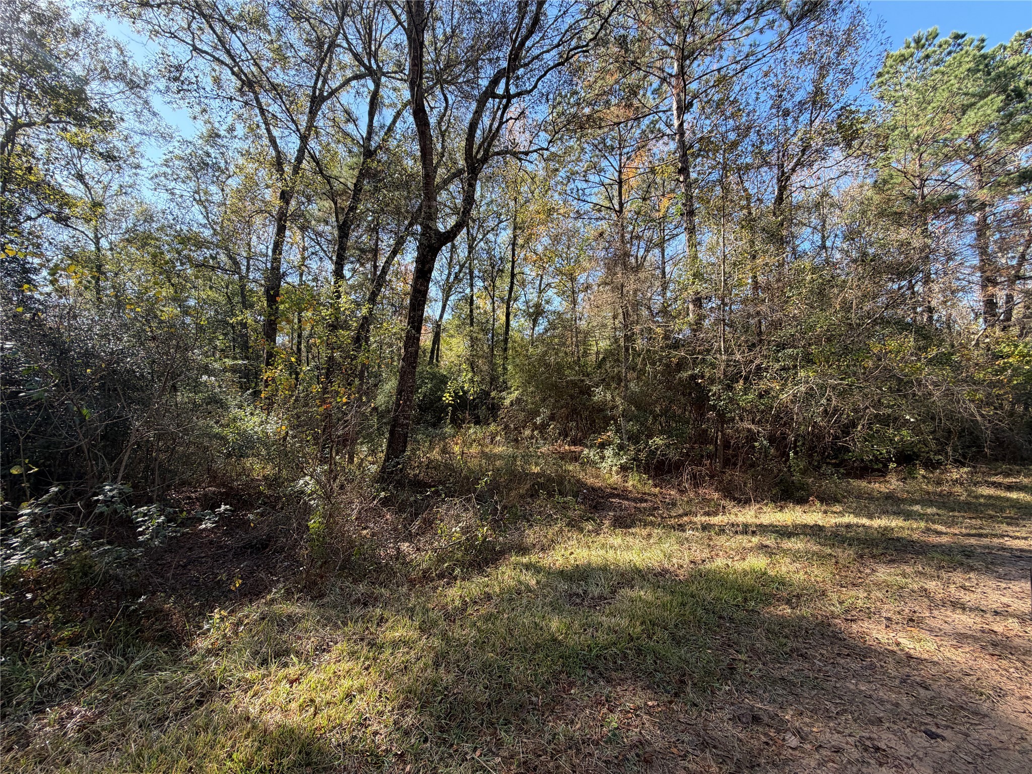 Lot 8a Private Road 2055 Hull TX 77564