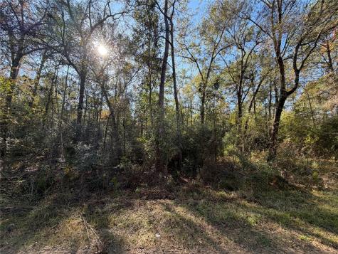 Lot 8a Private Road 2055 Hull TX 77564