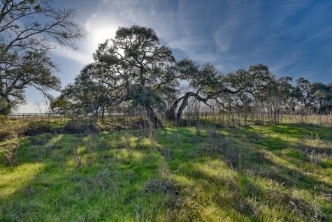 1855 Fm 1948 Views N Burton TX 77835