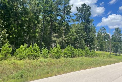 181 Sky Oak Lane Huntsville TX 77340