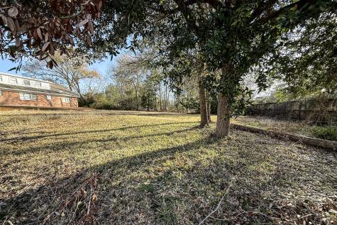 Lot 47b Normal Park Drive Huntsville TX 77320