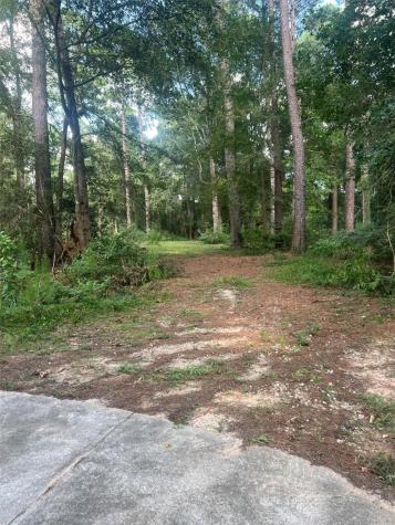 30403 Walnut Creek Road Magnolia TX 77355