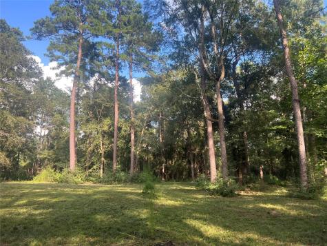 30403 Walnut Creek Road Magnolia TX 77355