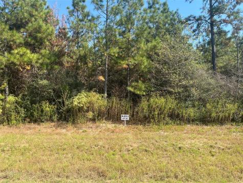 11723 Grand North Road Willis TX 77378