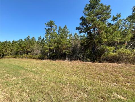 11723 Grand North Road Willis TX 77378