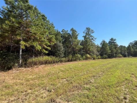 11723 Grand North Road Willis TX 77378