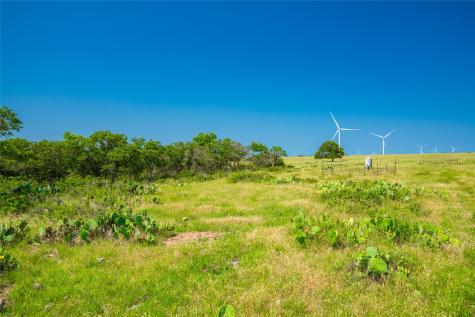 0 County Road 239 Goldthwaite TX 76531
