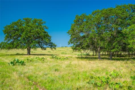 0 County Road 239 Goldthwaite TX 76531