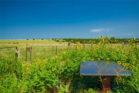 0 County Road 239 Goldthwaite TX 76531