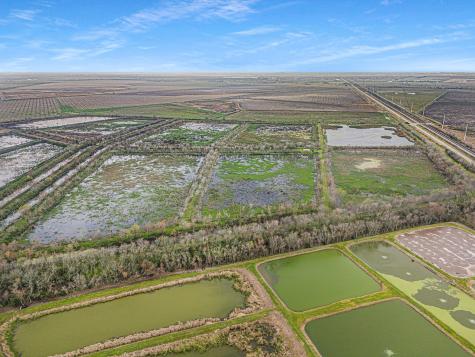 0 County Road 210 Liverpool TX 77577