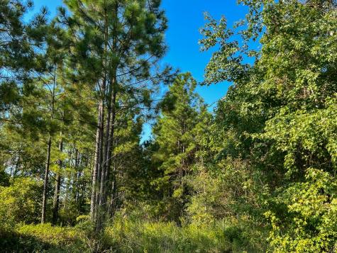 00 Highway 190 Woodville TX 75979