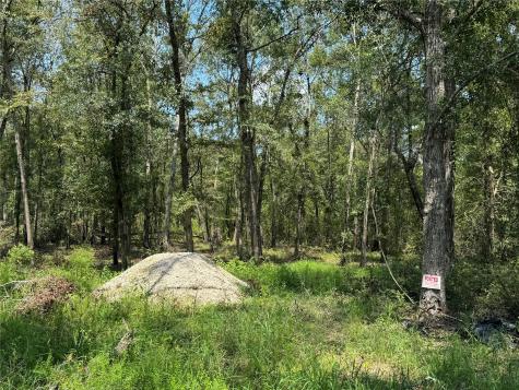 19959 Old Highway 105 Cleveland TX 77328
