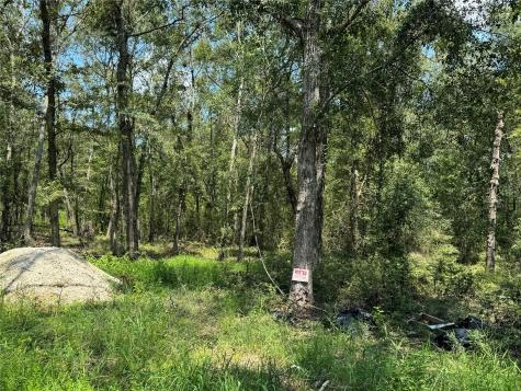 19959 Old Highway 105 Cleveland TX 77328