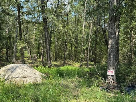 19959 Old Highway 105 Cleveland TX 77328