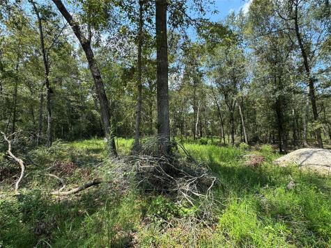 19959 Old Highway 105 Cleveland TX 77328