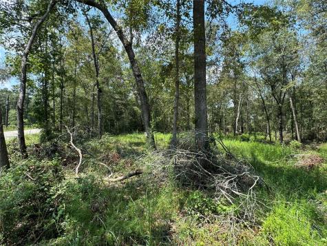 19959 Old Highway 105 Cleveland TX 77328