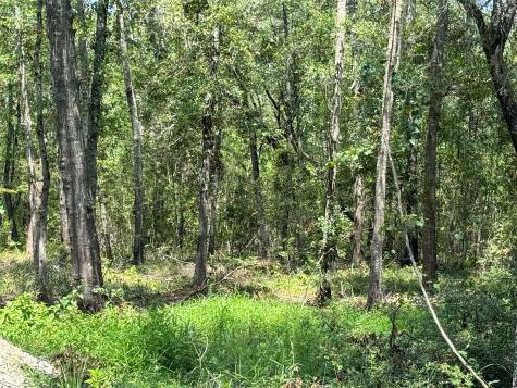 19959 Old Highway 105 Cleveland TX 77328