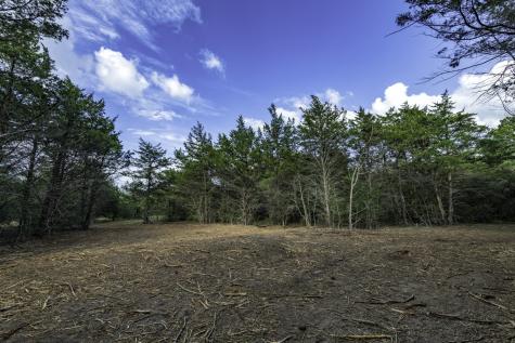 405 Vineyard View Trail - Lot 5 Carmine TX 78932