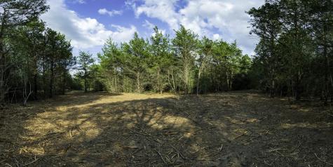 405 Vineyard View Trail - Lot 5 Carmine TX 78932