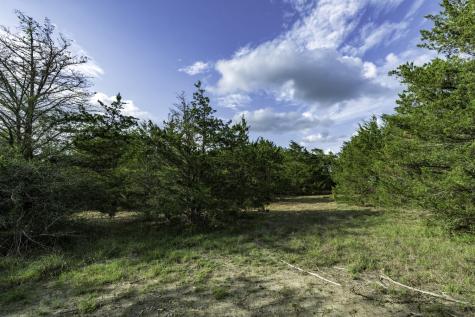 405 Vineyard View Trail - Lot 5 Carmine TX 78932