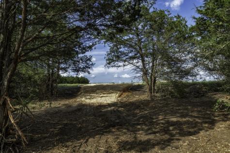 405 Vineyard View Trail - Lot 5 Carmine TX 78932
