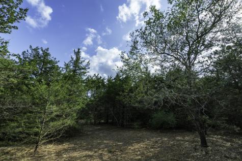 405 Vineyard View Trail - Lot 5 Carmine TX 78932