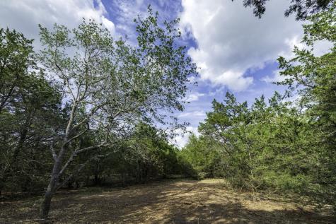 405 Vineyard View Trail - Lot 5 Carmine TX 78932